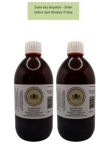 Dandelion root herbal - root,